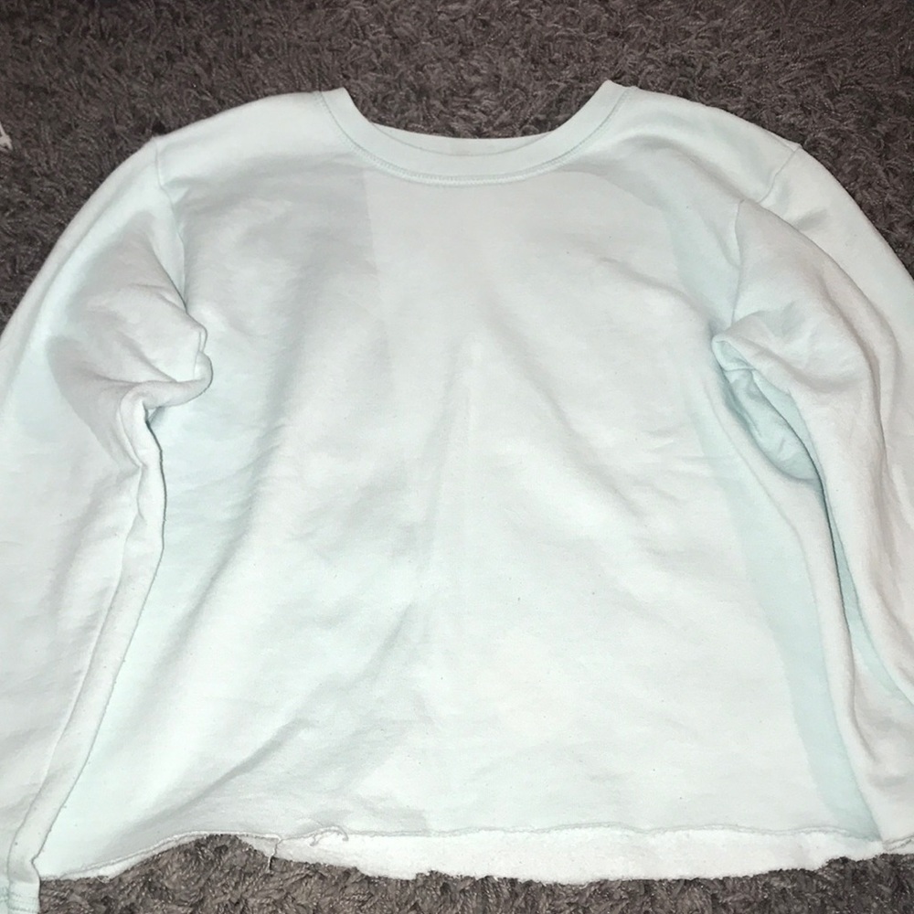 Hanes Long Sleeve Blue Top
